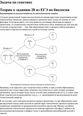 Генетика