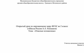 Обложка для материала Открытый урок по окружающему миру ФГОС во 2 классе         («Школа России А.А. Плешаков) Тема:  «Опасные незнакомцы»