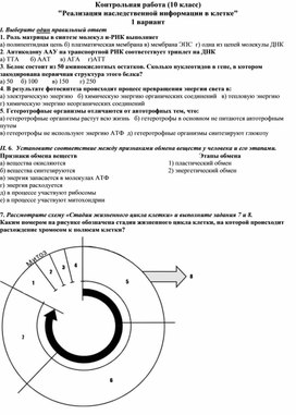 Обложка для материала 10 класс контрольная Реализация наследственной информации в клетке