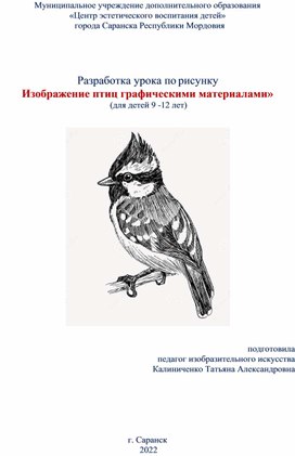 Разработка урока по рисунку: "Изображение птиц графическими материалами"