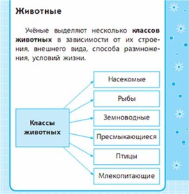 Обложка для материала Окружающий мир для 1-4 классов_схема_15
