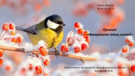 Обложка для материала Проект  «Накормите птиц зимой»