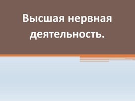 Презентация "Высшая нервная деятельность человека"