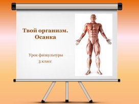 Презентация по физической культуре "Твой организм. Осанка", 3 класс.