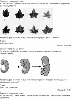 Обложка для материала Тест ао теме "Общие признаки живых организмов"