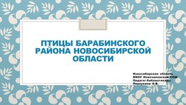 Презентация к библиотечному часу для младших школьников "Птицы Барабинского района Новосибирской области"