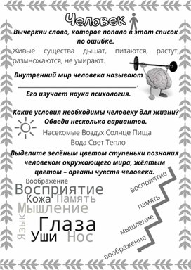 Рабочий лист к уроку окружающего мира по теме "Человек", 3 класс, УМК "Школа России"