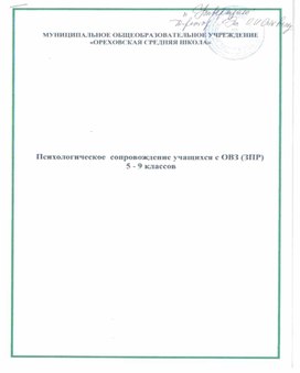 Психологическое сопровождение учащихся с ОВЗ (ЗПР) 5 - 9 классов