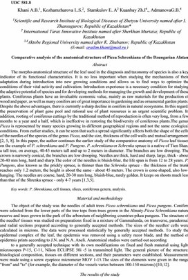 Comparative analysis of the anatomical structure of Picea Schrenkiana of the Dzungarian Alatau