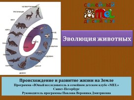 Эволюция животных. Происхождение и развитие жизни на Земле. Программа «Юный исследователь в семейном детском клубе «MEL»  Санкт-Петербург