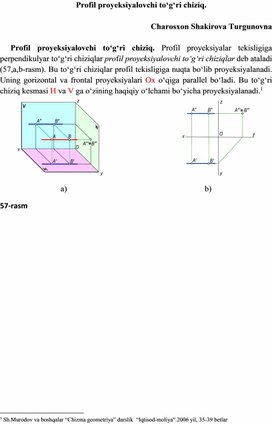 Profil proyeksiyalovchi to‘g‘ri chiziq