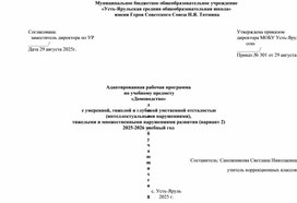 Обложка для материала Адаптированная рабочая программа  по домоводству. Для обучающихся 8 класса с умеренной, тяжелой и глубокой умственной отсталостью интеллектуальными нарушениями развития ( вариант 2)