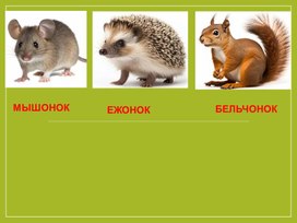 Обложка для материала Презентация к уроку русского языка 5 класс по теме: «Правописание о – е после шипящих в суффиксах имен существительных».