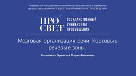 Обложка для материала Презентация на тему: "Мозговая организация речи. Корковые речевые зоны"