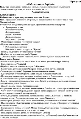 Обложка для материала Конспект прогулки "Наблюдение за берёзой"