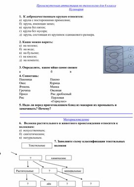 Промежуточная аттестация по русскому языку 6 класс