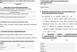 Проверочная работа по русскому языку по теме : Имя существительное
