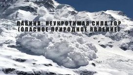 Обложка для материала Безопасность в природной среде