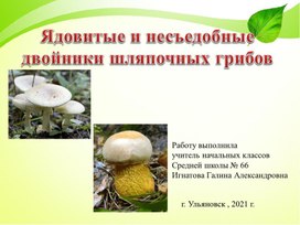 Презентация "Ядовитые и несъедобные двойники шляпочных грибов"