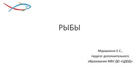 Презентация для занятия "Виды рыб, обитающие в водоёмах Кузбасса"