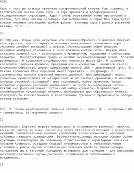 Обложка для материала процесс эволюции