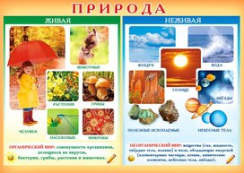 Обложка для материала природа