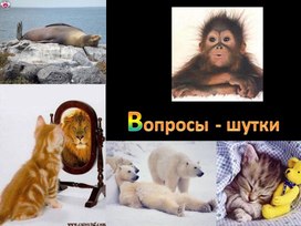 Обложка для материала Презентация "Вопросы -шутки"