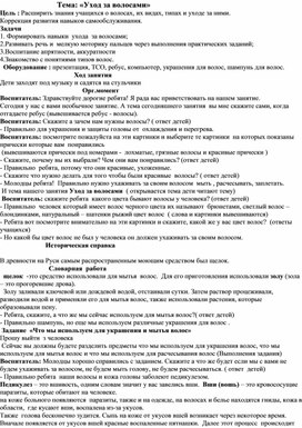 Конспект занятия по социально-бытовой ориентировке на тему: "Уход за волосами"