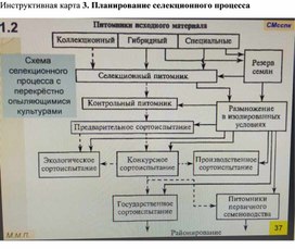 Методическая разработка "Планирование селекционного процесса"