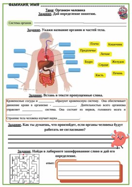 Рабочий лист к уроку окружающего мира по теме "Организм человека", 3 класс, УМК "Школа России"