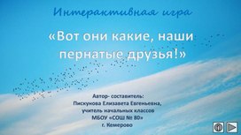 Обложка для материала Интерактивная игра "Вот они какие, наши пернатые друзья!"