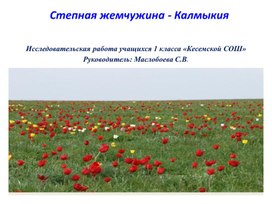 Обложка для материала Презентация "Степная жемчужина-Калмыкия"