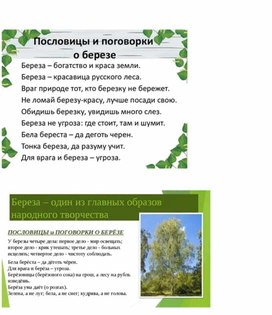 Обложка для материала "Интересные факты о березе для детей"
