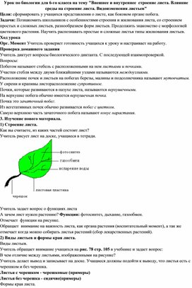 Урок по биологии для 6-го класса на тему "Внешнее и внутреннее  строение листа. Влияние среды на строение листа. Видоизменения листьев"