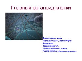 Презентация к уроку биологии: "Ядро - главный органоид клетки"