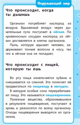 Обложка для материала Окружающий мир для 1-4 классов_схема12