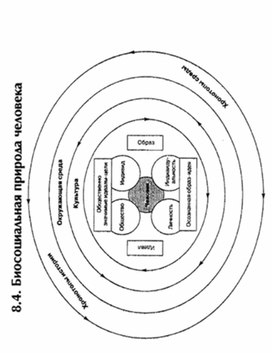 Обложка для материала материал по психофизиологии