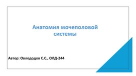 Обложка для материала Мочеполовая система