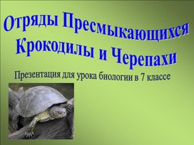 Отряды Пресмыкающихся: Крокодилы и черепахи