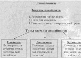 Материал к урокам  биологии