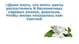 «Красивые цитаты про цветы»