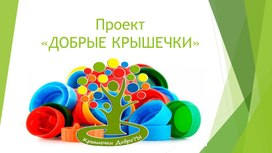 Обложка для материала Волонтерский опыт. Участие в проекте "Добрые крышечки"