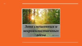 Презентация по географии на тему"Смешанные ишироклиственные леса"