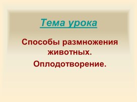 Способы размножения Оплодотворение