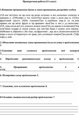 Проверочная работа по русскому языку (11 класс)