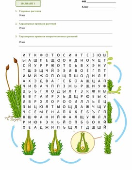 Обложка для материала Филворд "Споровые и семенные растения"