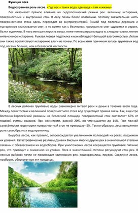 Обложка для материала Функции леса