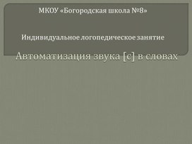 Индивидуальное логопедическое занятие "Автоматизация звука [с] в словах