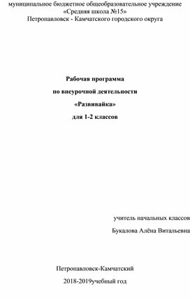 Рабочая программа по внеурочной деятельности «Развивайка»