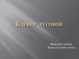 Презентация на тему клевер луговой